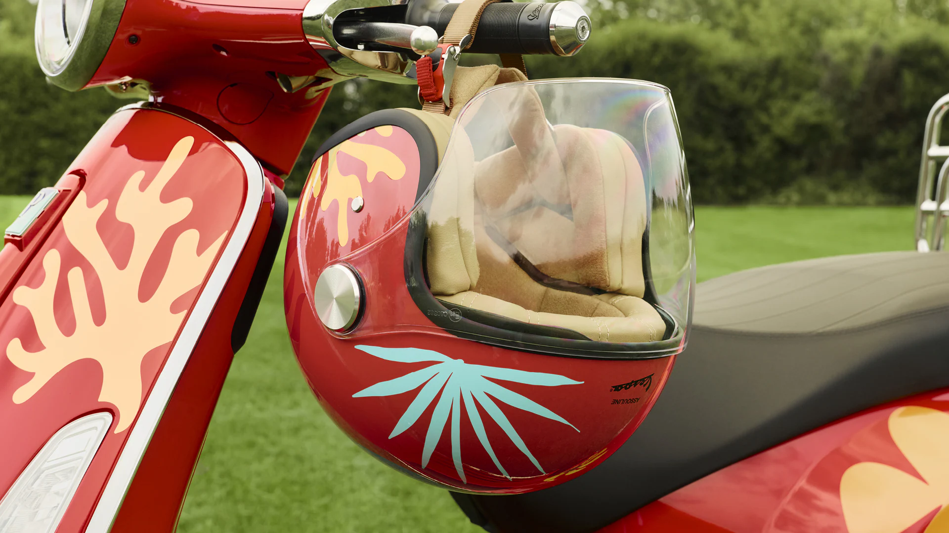 stylish scooter