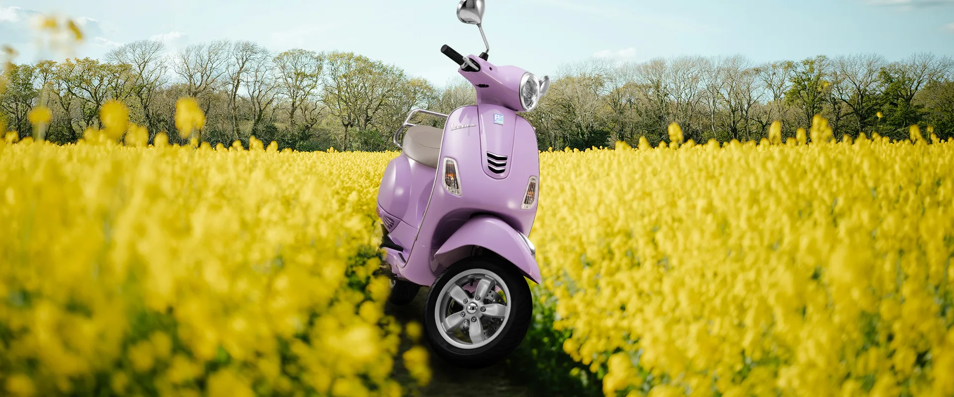 stylish scooter